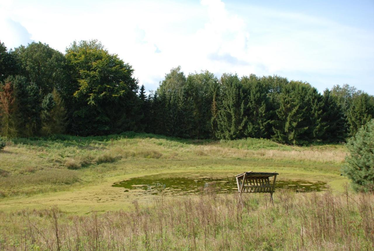 Charmant chalet op een bospark op de Veluwe Villa Putten Buitenkant foto